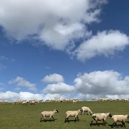 Old Bakery - Former Stable Ferienhaus